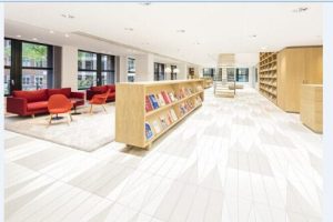 辦公室實(shí)木閱讀室半墻木柜設(shè)計(jì)