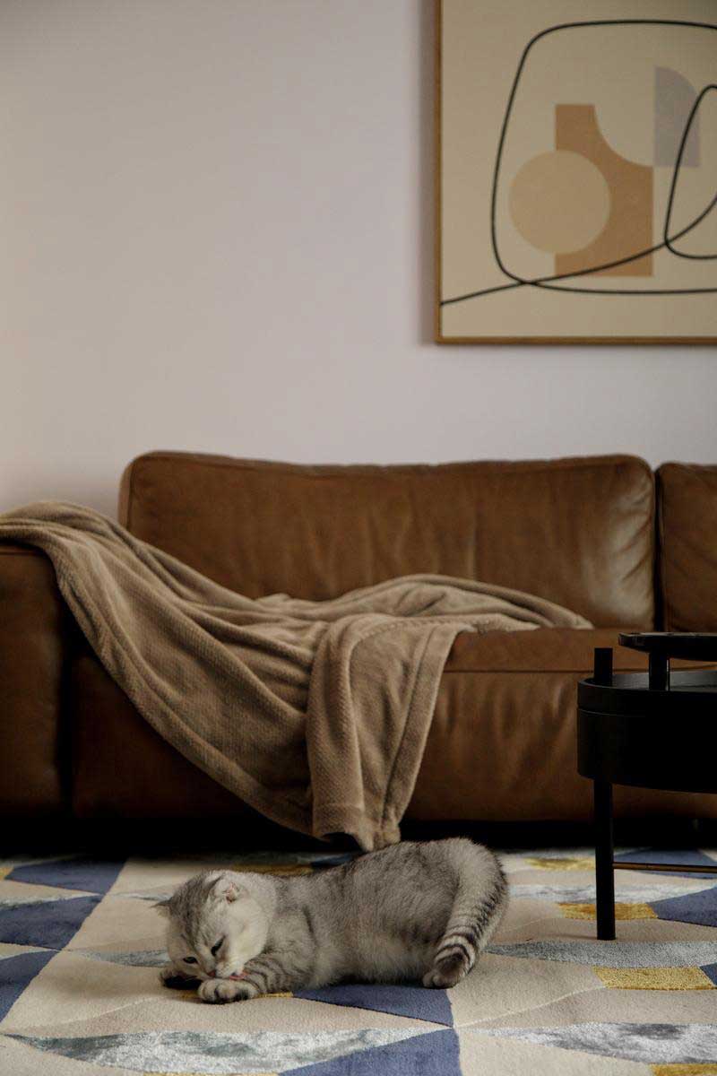 深圳龍崗區(qū)美式復古風家裝裝修實景圖客廳沙發(fā)