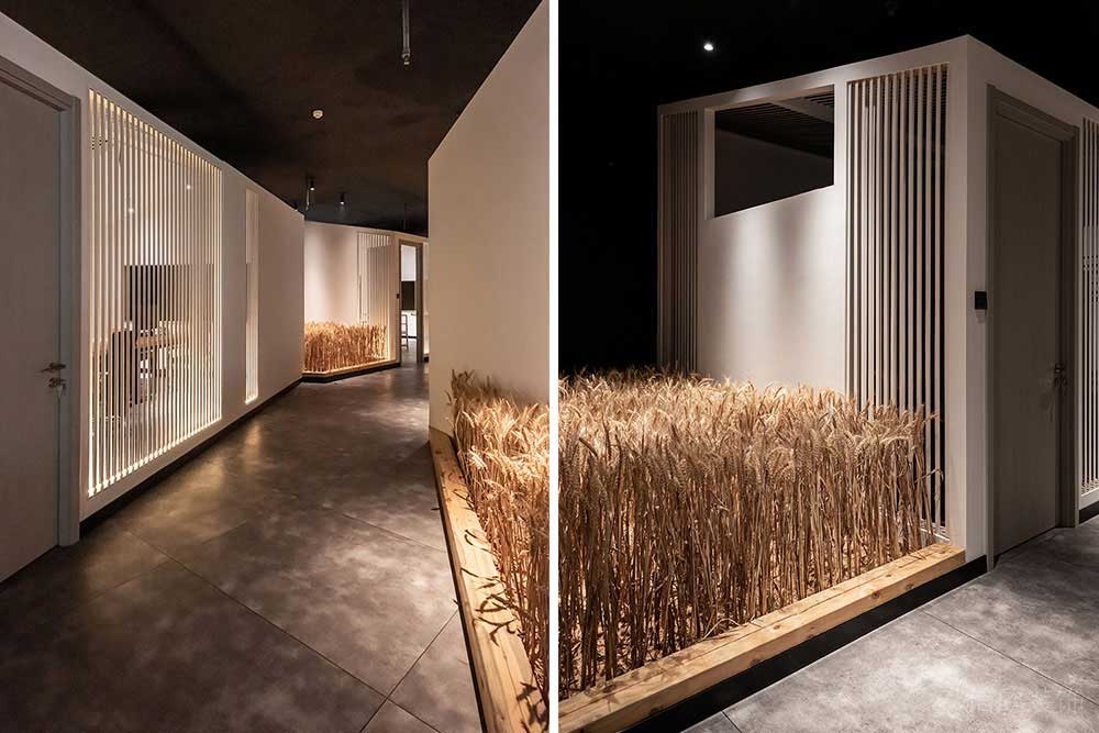 簡約田園風(fēng)辦公空間綠植走廊裝修圖