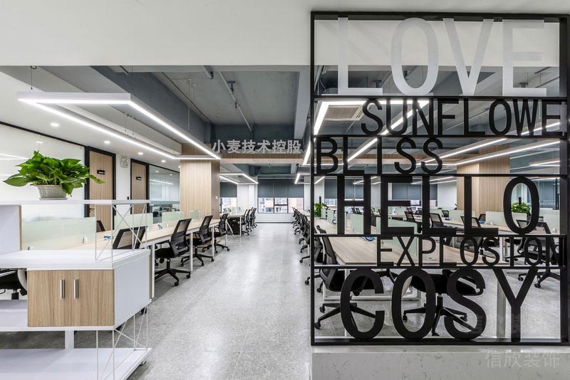 龍崗網(wǎng)絡公司辦公室辦公區(qū)裝修