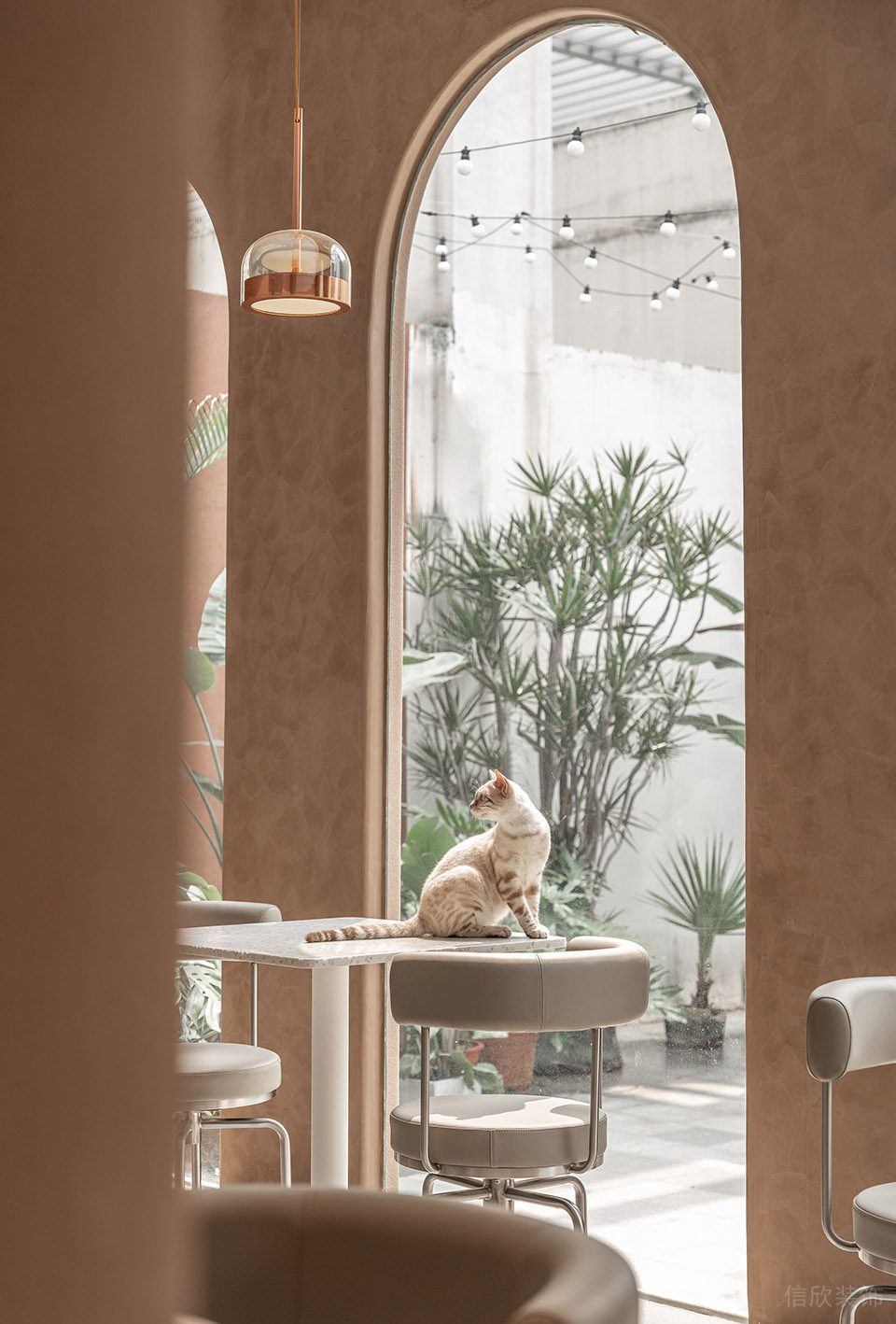 深圳市龍崗區橫崗有貓植說寵物店裝修設計 休息區二 深圳市龍崗區橫崗有貓植說寵物店裝修設計 休息區二