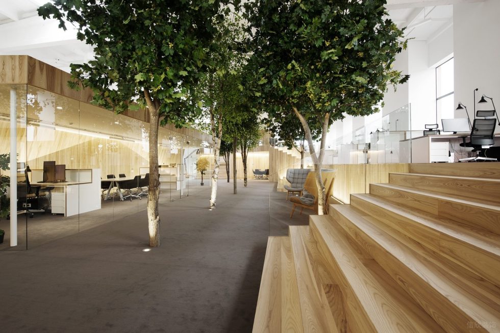 自然原木風辦公室裝修設計淺木色辦公大廳 自然原木風辦公室裝修設計淺木色辦公大廳